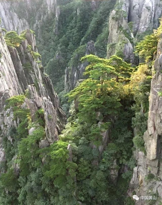 让中华优秀传统文化滋养心田 中国妇女儿童博物馆“家风故事汇”《成长之约》第三季热播